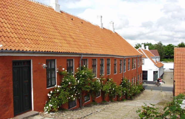 pussykat ålborg b skønhed hjørring pussykat ålborg b skønhed hjørring